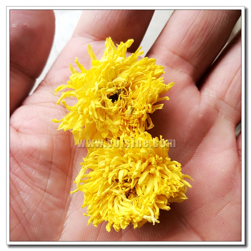 婺源皇菊烘干機(jī)